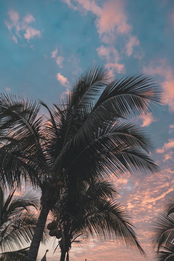 Makani فيشايتو المظهر الخارجي الصورة